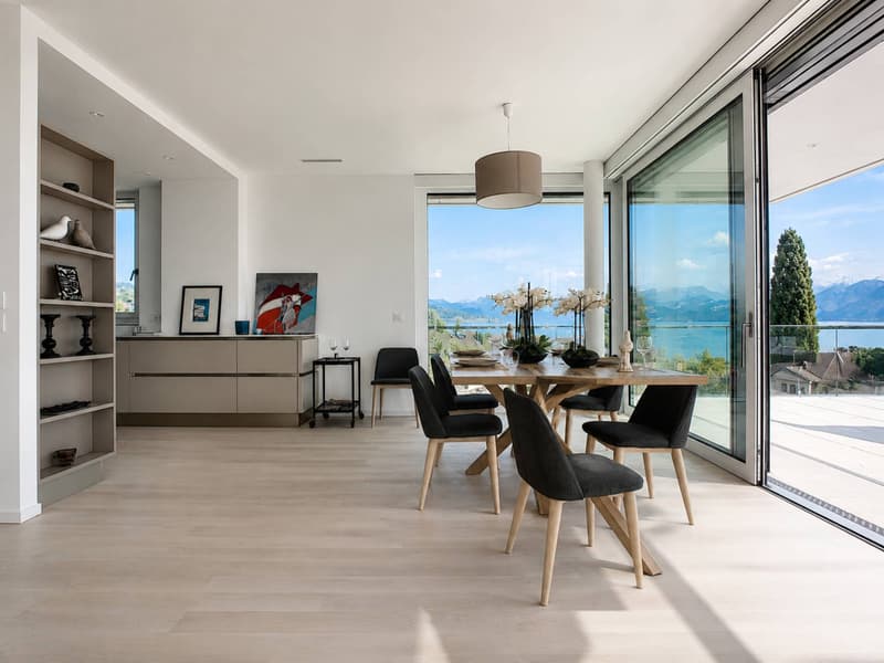 Attique contemporain avec vaste terrasse à un instant du lac (2)