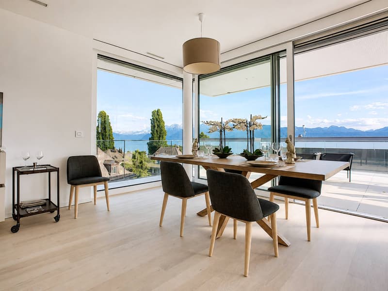 Attique contemporain avec vaste terrasse à un instant du lac (3)