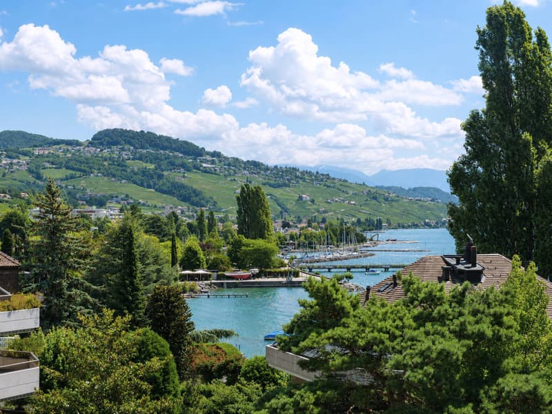 Attique contemporain avec vaste terrasse à un instant du lac (6)