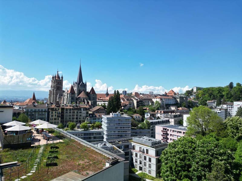 Opportunité rare : Loft avec rooftop au centre-ville (1)