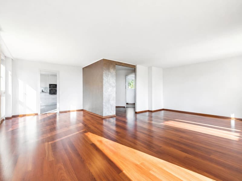 Appartement familial de 5.5 pièces avec vue sur le lac (2)