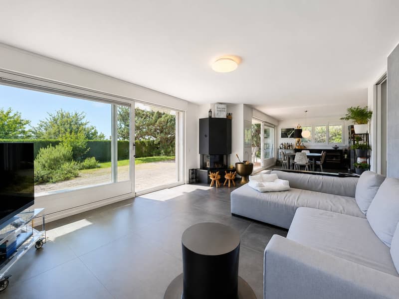 Appartement en rez-de-jardin de plus 145 m2 (2)