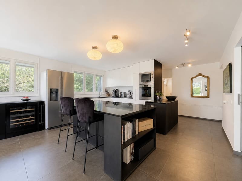 Appartement en rez-de-jardin de plus 145 m2 (6)