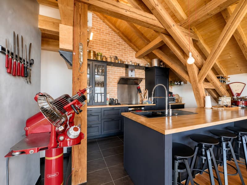 appartement en attique de 210 m2 (8)