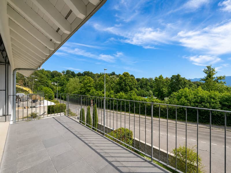 Villa mitoyenne contemporaine avec jardins et vue dégagée à Pully (8)