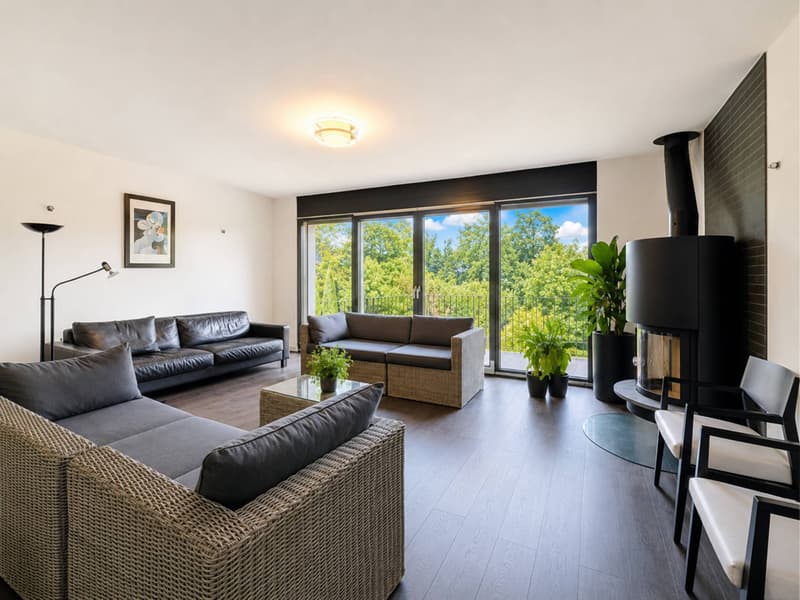Villa mitoyenne contemporaine avec jardins et vue dégagée à Pully (1)