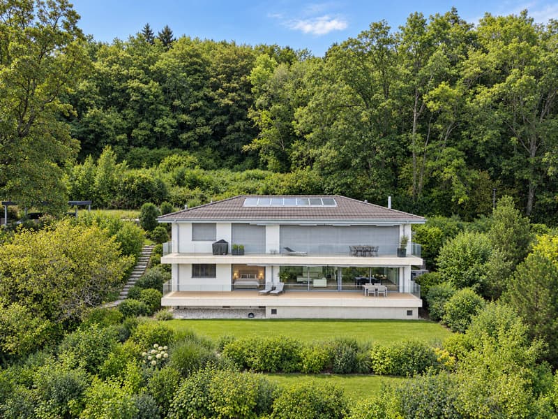 Appartement contemporain au cur du Lavaux, avec panorama sur le Léman (1)