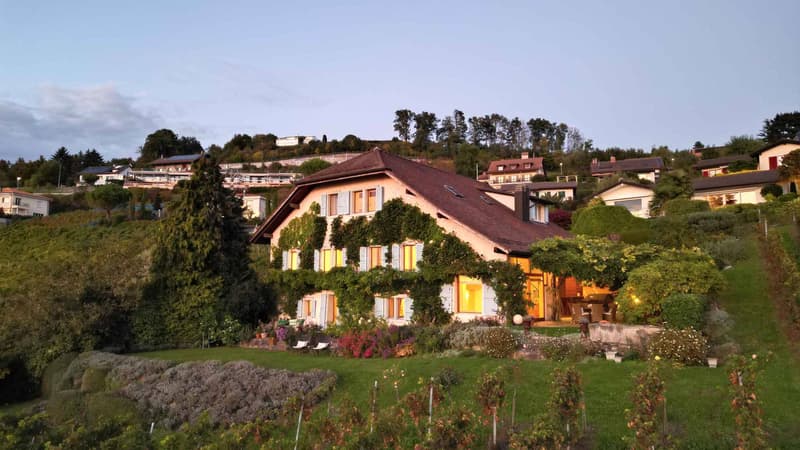 Demeure vigneronne d'exception de plus de 450 m2 avec vue imprenable (13)