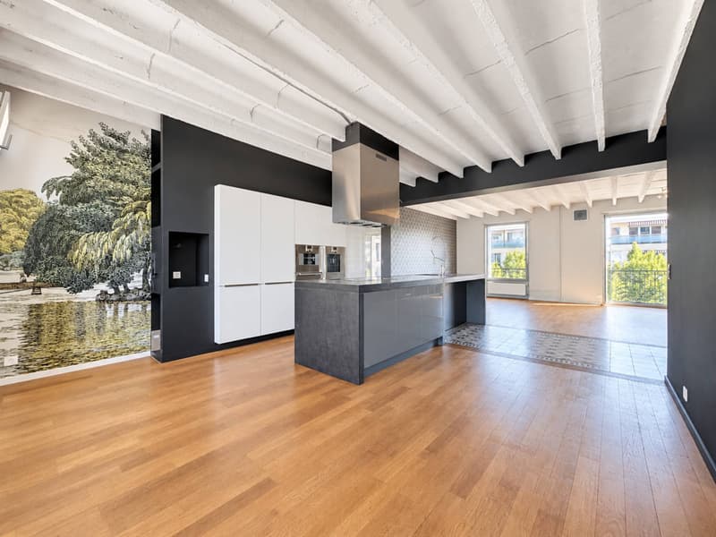 RARE SUR LE MARCHÉ Appartement d'époque - hyper centre (2)