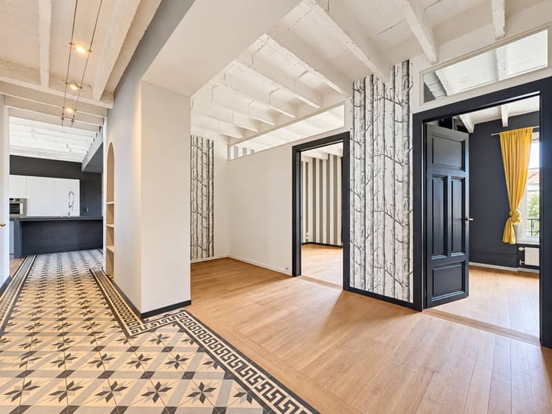 RARE SUR LE MARCHÉ Appartement d'époque - hyper centre (7)