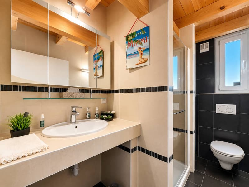 appartement en attique de 210 m2 (10)