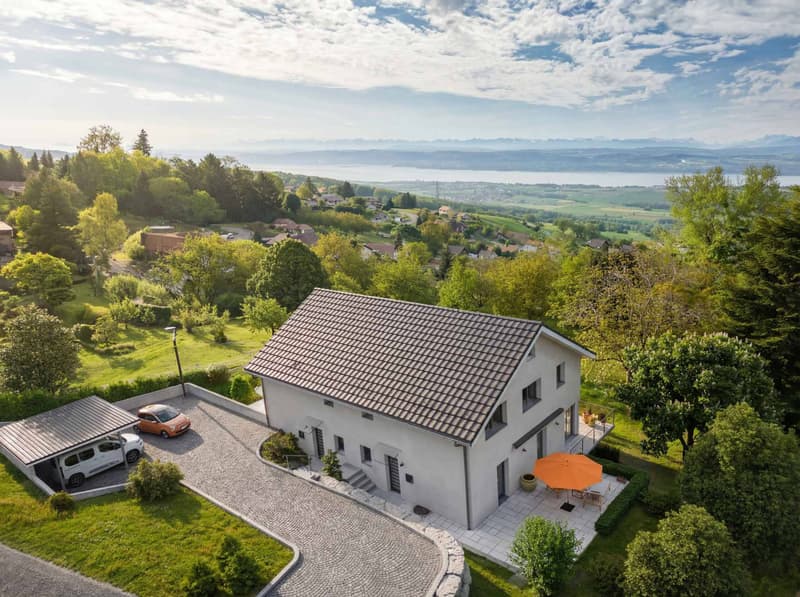 VILLA NEUVE : Un cadre de vie privilégié entre lac et montagnes ! (2)