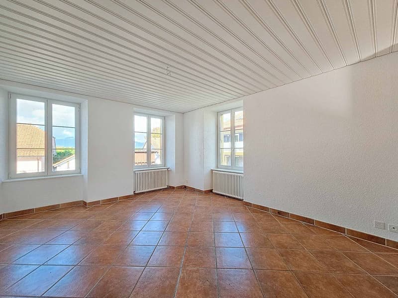 Superbe maison de Maître au charme authentique (8)