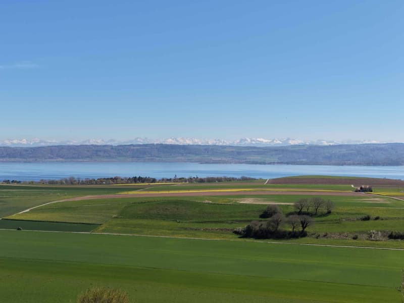 Villa de charme avec vue panoramique sur le lac de Neuchâtel (11)