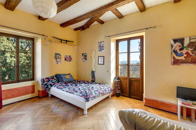 Maison bourgeoise avec vignoble (4)