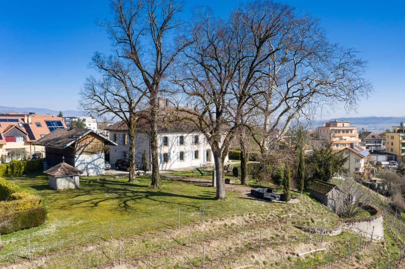 Maison bourgeoise avec vignoble (13)