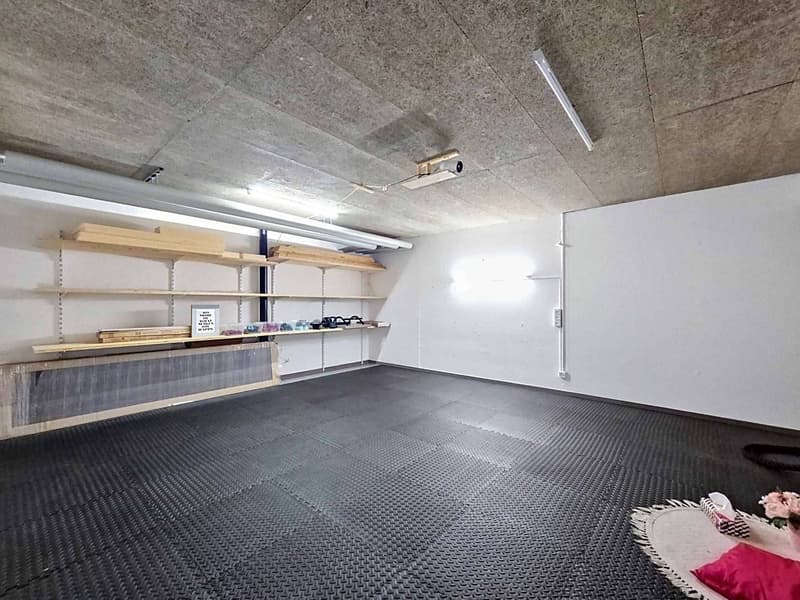 BELLE MAISON FAMILIALE DE 6.5 PIÈCES AVEC POTENTIEL D'ACTIVITÉ INDÉPENDANTE (13)