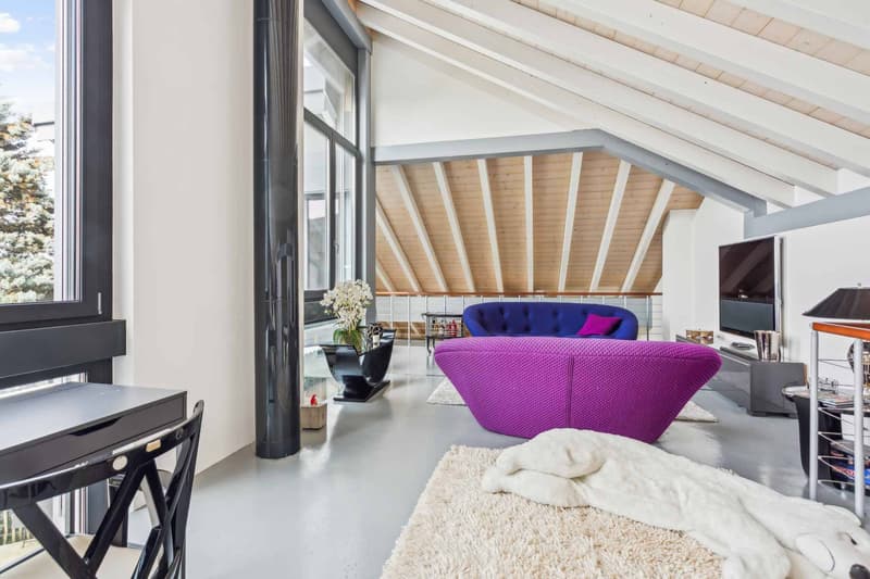 Villa d'architecte contemporaine de 7.5 pièces avec piscine (6)