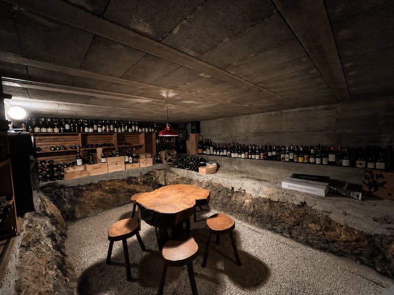 Magnifique villa individuelle de 5.5 pièces (11)