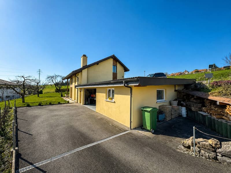 Magnifique villa individuelle de 5.5 pièces (12)
