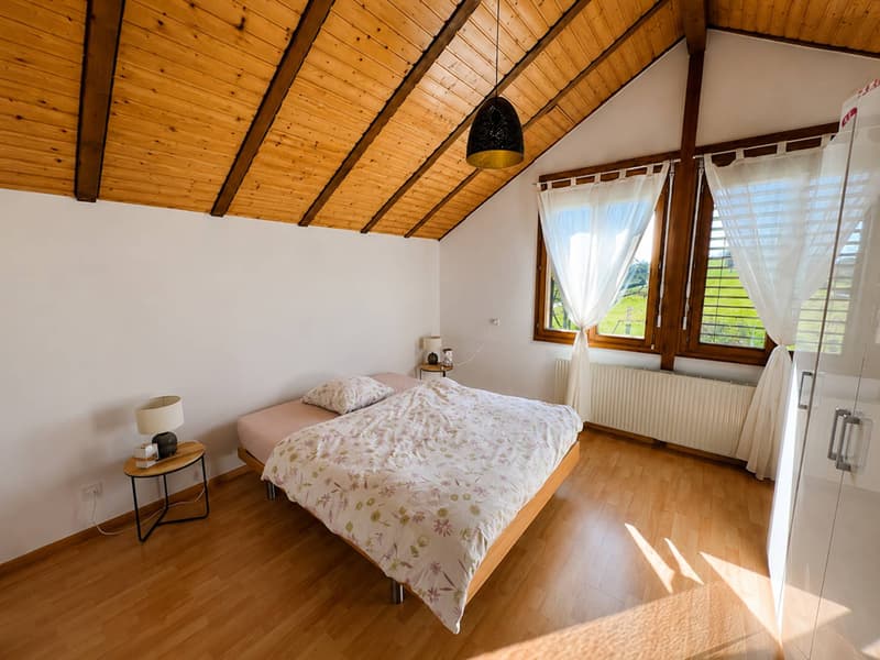 Magnifique villa individuelle de 5.5 pièces (10)