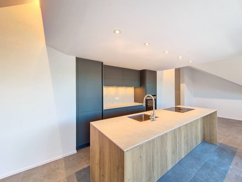 NEUF : Spacieux appartement de standing (3)