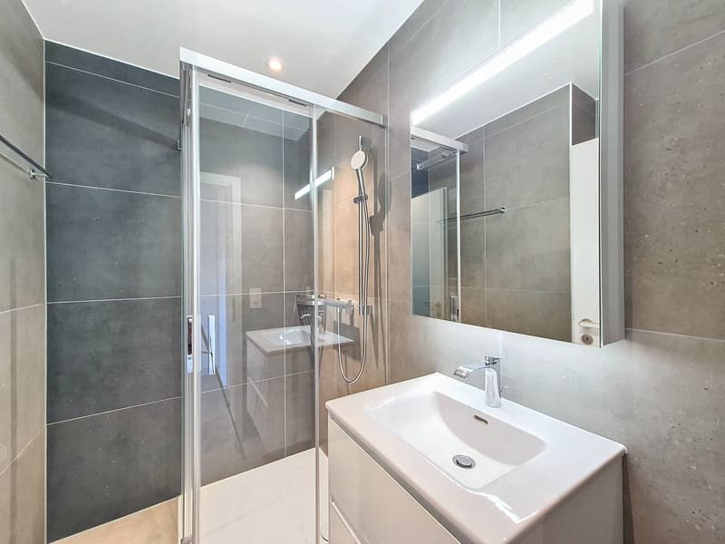 NEUF : Spacieux appartement de standing (8)