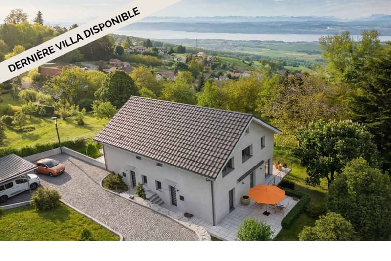 VILLA NEUVE : Un cadre de vie privilégié entre lac et montagnes ! (2)