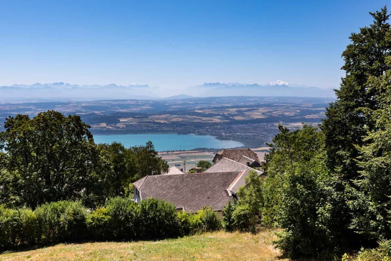 Propriété d'exception - Deux chalets indépendants (11)
