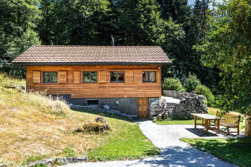 Propriété d'exception - Deux chalets indépendants (12)