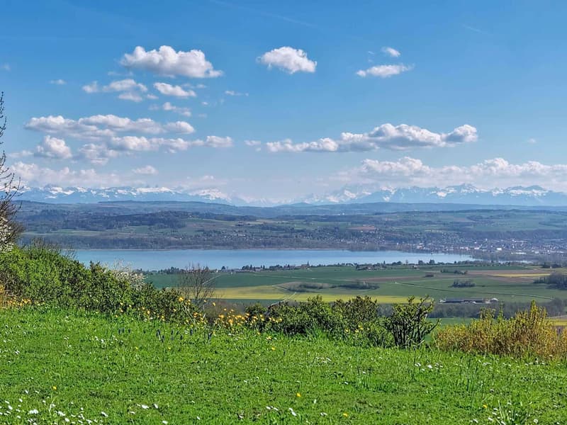 Propriété d'exception - Art de vivre entre ciel, lac et montagnes (11)