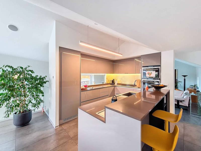 Villa unique dans un quartier résidentiel ! (5)