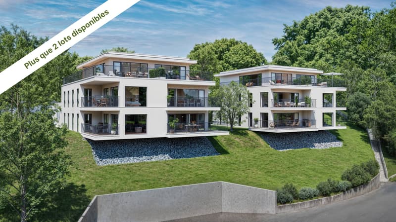 Superbe appartement de 4.5 pièces avec jardin (1)