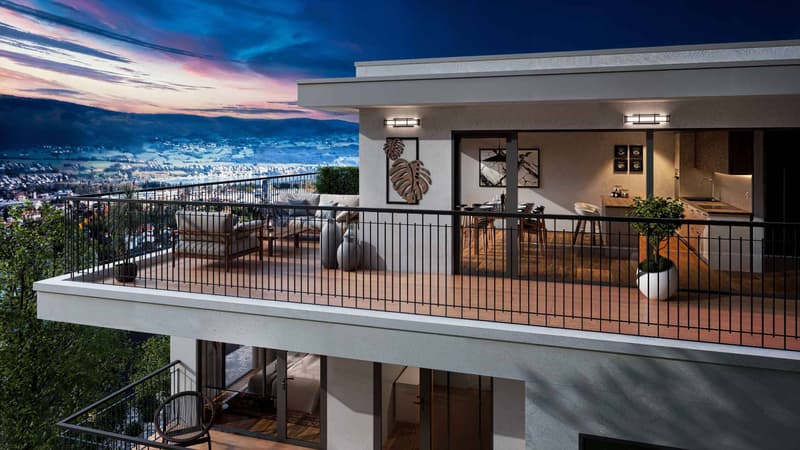 LOGEMENT DE STANDING AVEC VUE LAC ! (8)