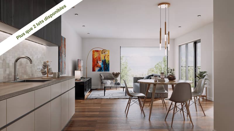 LOGEMENT DE STANDING AVEC VUE LAC ! (1)