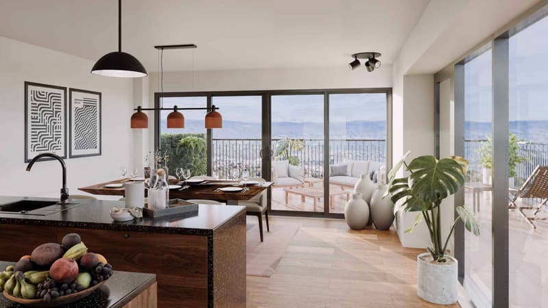 LOGEMENT DE STANDING AVEC VUE LAC ! (5)