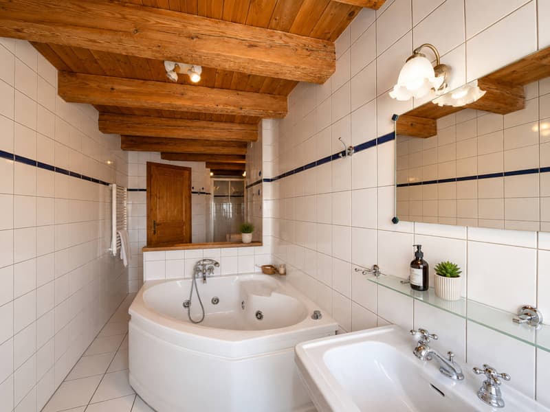 Maison villageoise avec deux appartements au cur de Rances (12)