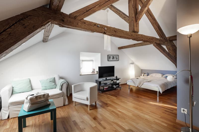 Superbe maison villageoise de 3 logements avec terrasse et jardin (8)