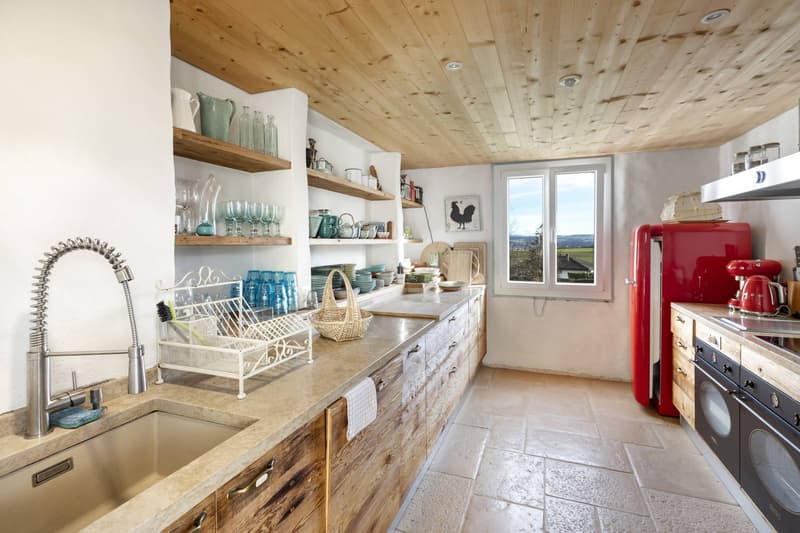 Superbe maison villageoise de 3 logements avec terrasse et jardin (11)