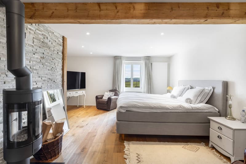 Superbe maison villageoise de 3 logements avec terrasse et jardin (10)