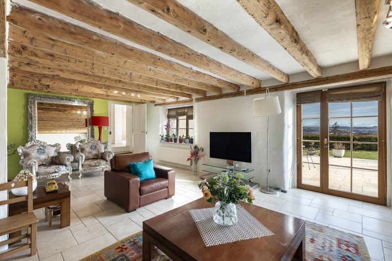 Superbe maison villageoise de 3 logements avec terrasse et jardin (4)