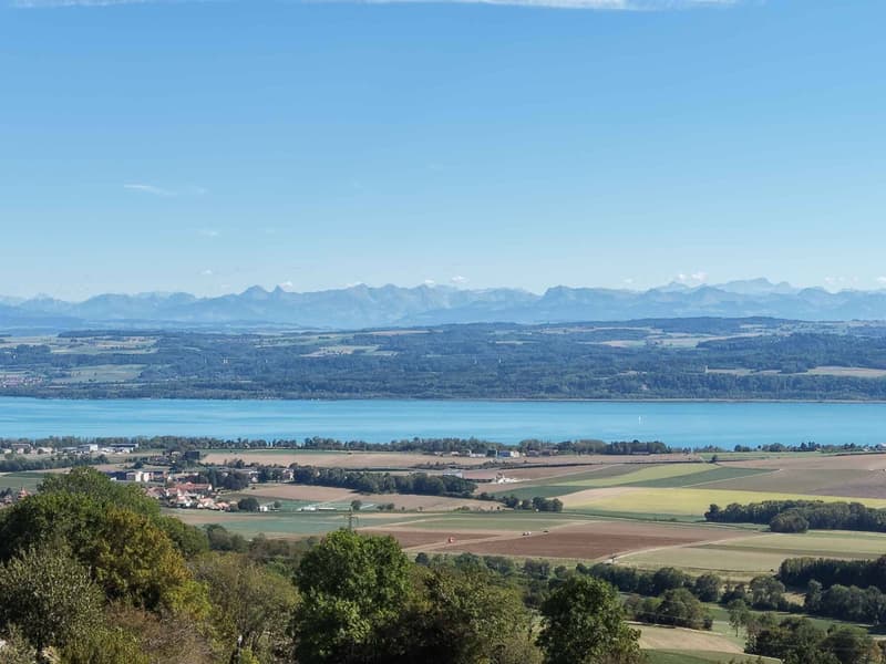 Chantier en cours : Un cadre de vie privilégié entre lac et montagnes ! (9)