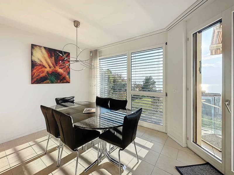 Rare ! Appartement de 5.5 pièces avec superbe vue sur le lac (5)