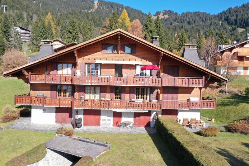 SKI-IN SKI-OUT ! Appartement traversant au cur du Domaine de la Résidence (7)