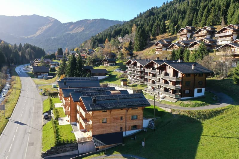 Duplex de 6.5 pièces avec vue dégagée sur les montagnes (5)