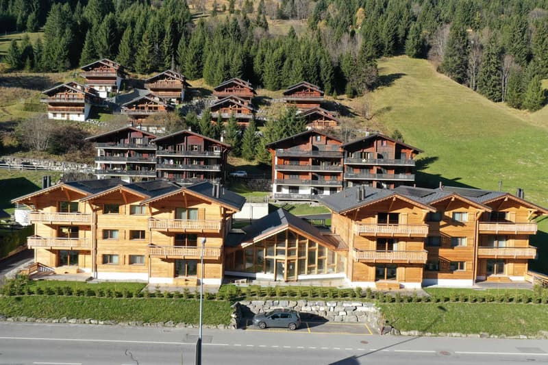 Duplex de 6.5 pièces avec vue dégagée sur les montagnes (4)