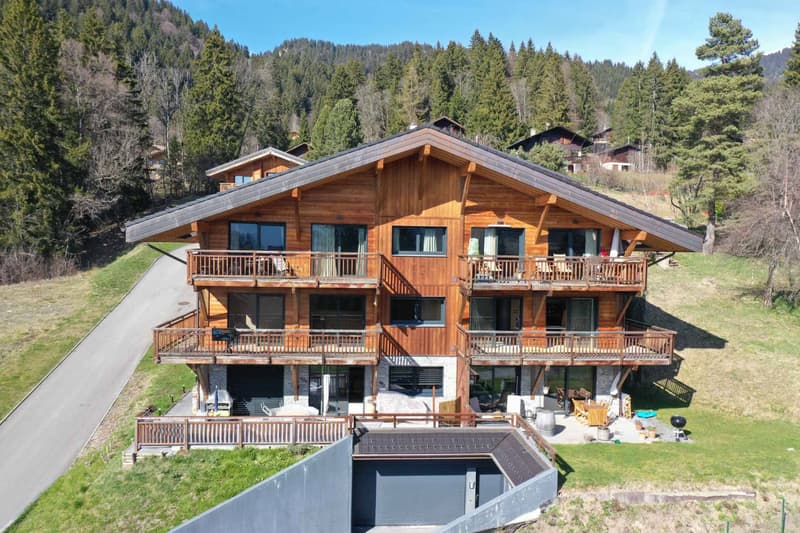 Appartement de standing face aux montagnes, à deux pas des pistes (8)