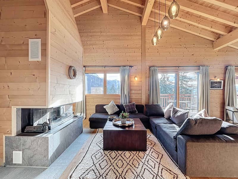 Appartement avec cachet face aux montagnes, à deux pas des pistes (4)