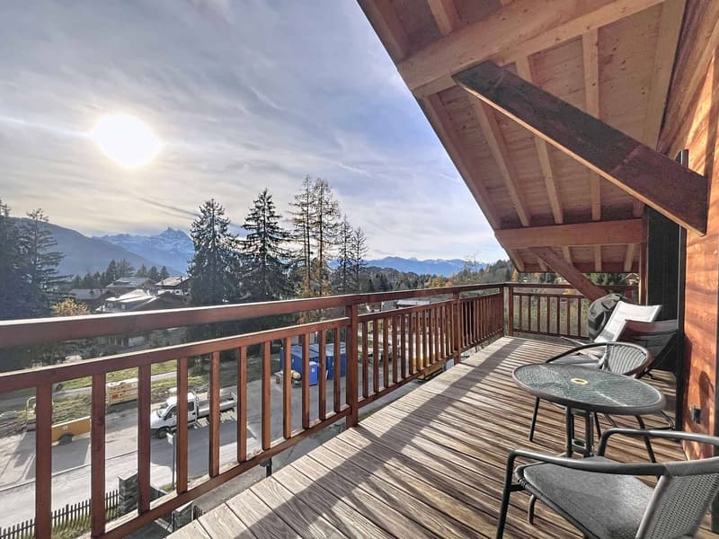 Appartement avec cachet face aux montagnes, à deux pas des pistes (2)