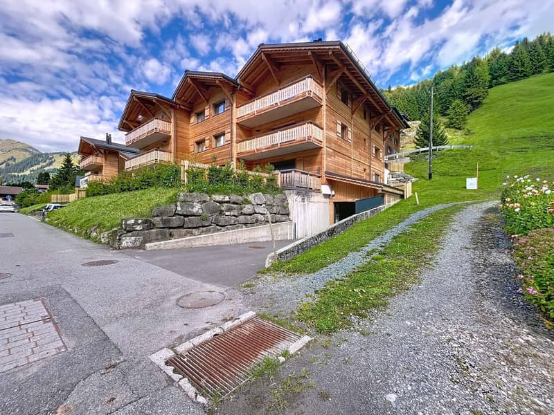 Appartement de 3.5 pièces avec balcon (9)
